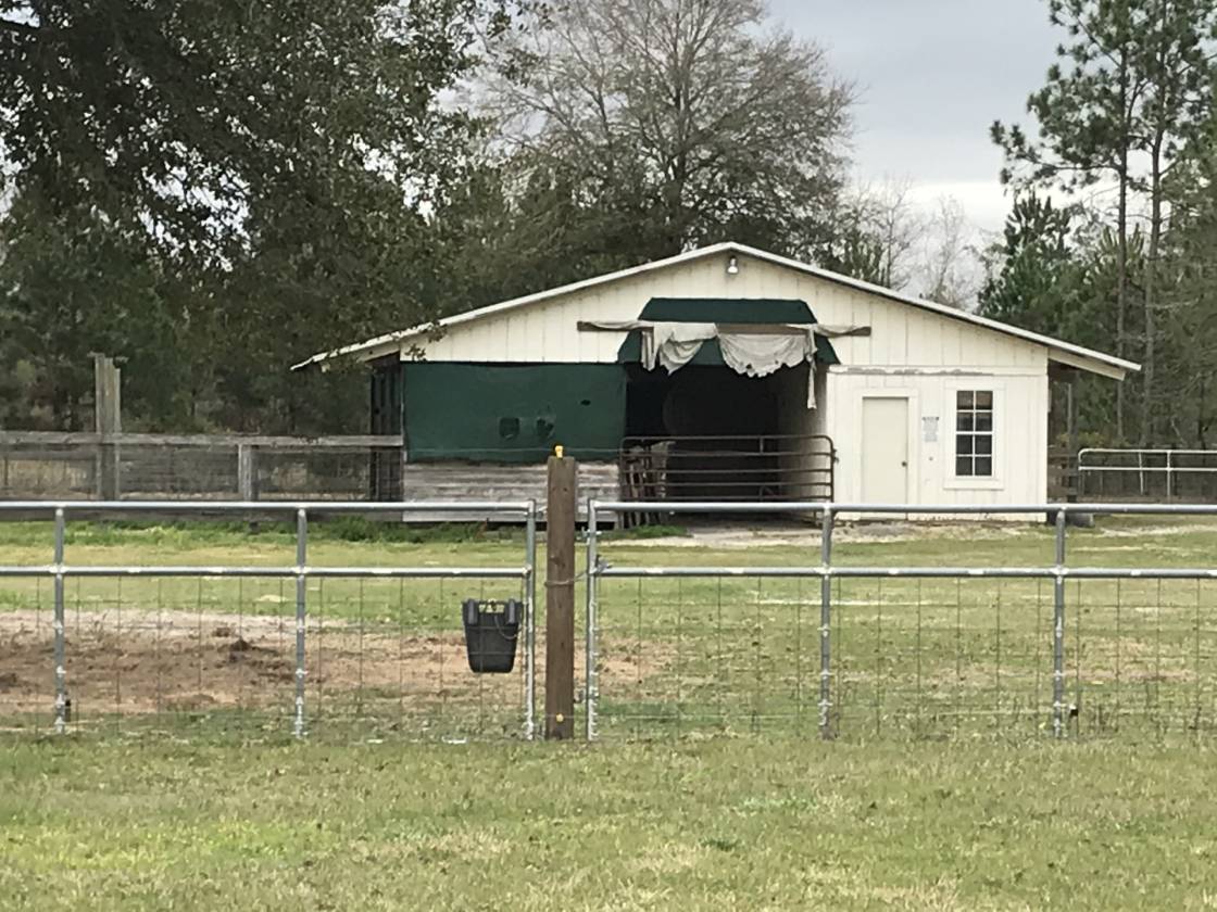 Beautiful 30+/ horse farm in Jacksonville, FL Jacksonville, Clay County, Florida