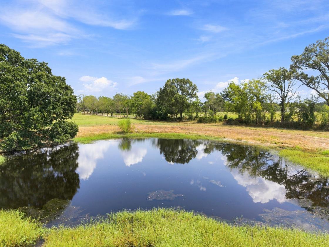 Wide-Open 18± Acres for Horses & Country Living - photo 3