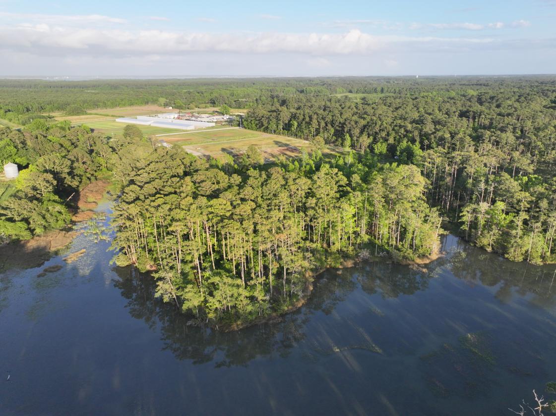 Premier 22± Acre Waterfront Equestrian Estate - photo 10