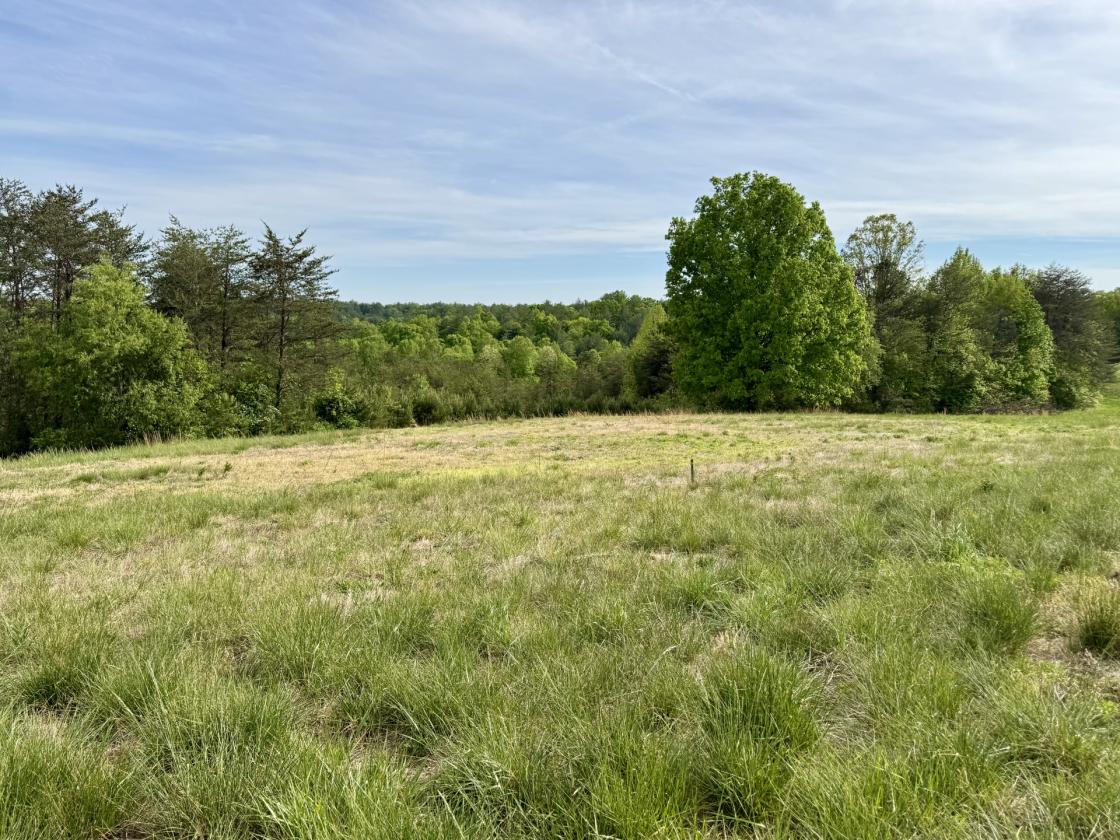 2.47 acres for your Mini-Farm Dream at The Coves - photo 1