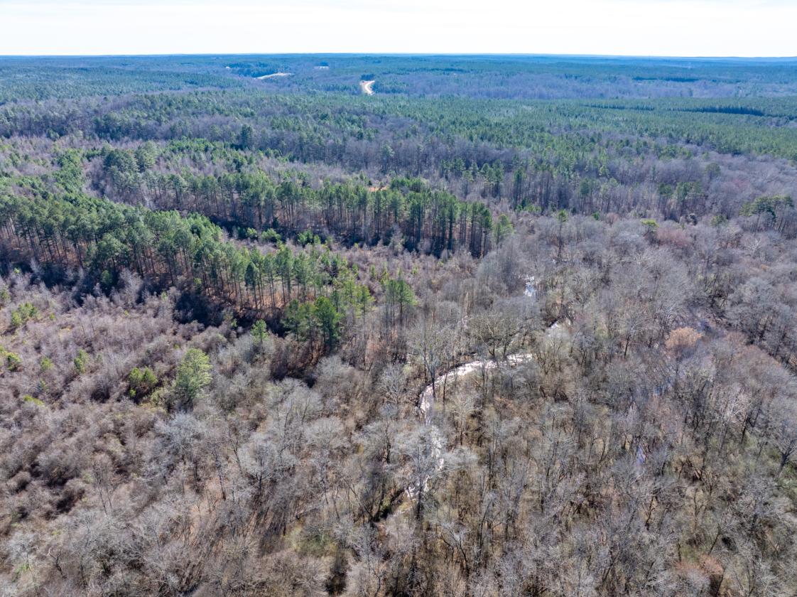 211 Acres- Luxury Estate & Equestrian Development - photo 11