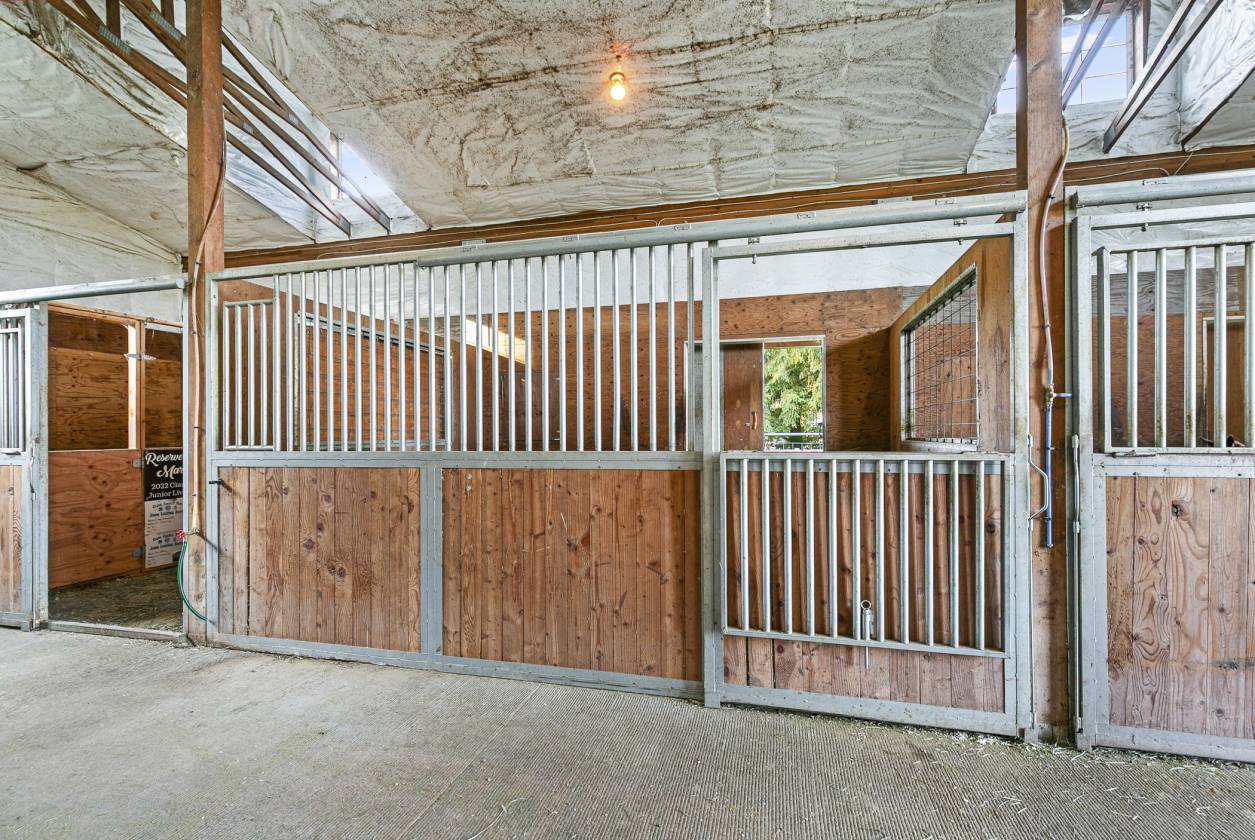 Horse Property in Town - Remolded Home - photo 3