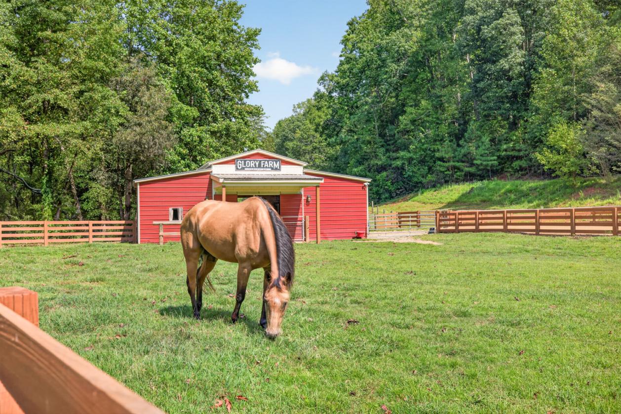 8.52 Acre horse farm with creek and home - photo 5