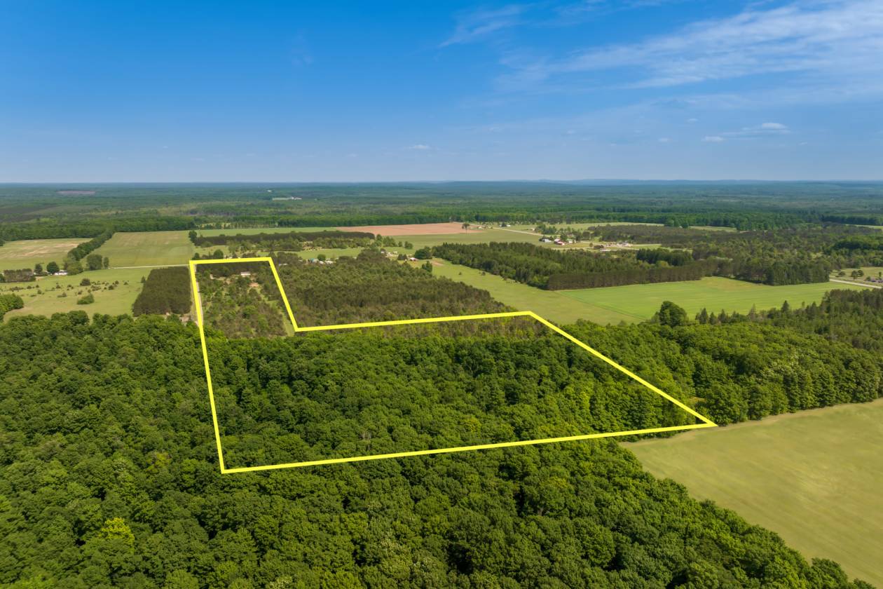 Horse Property for sale.