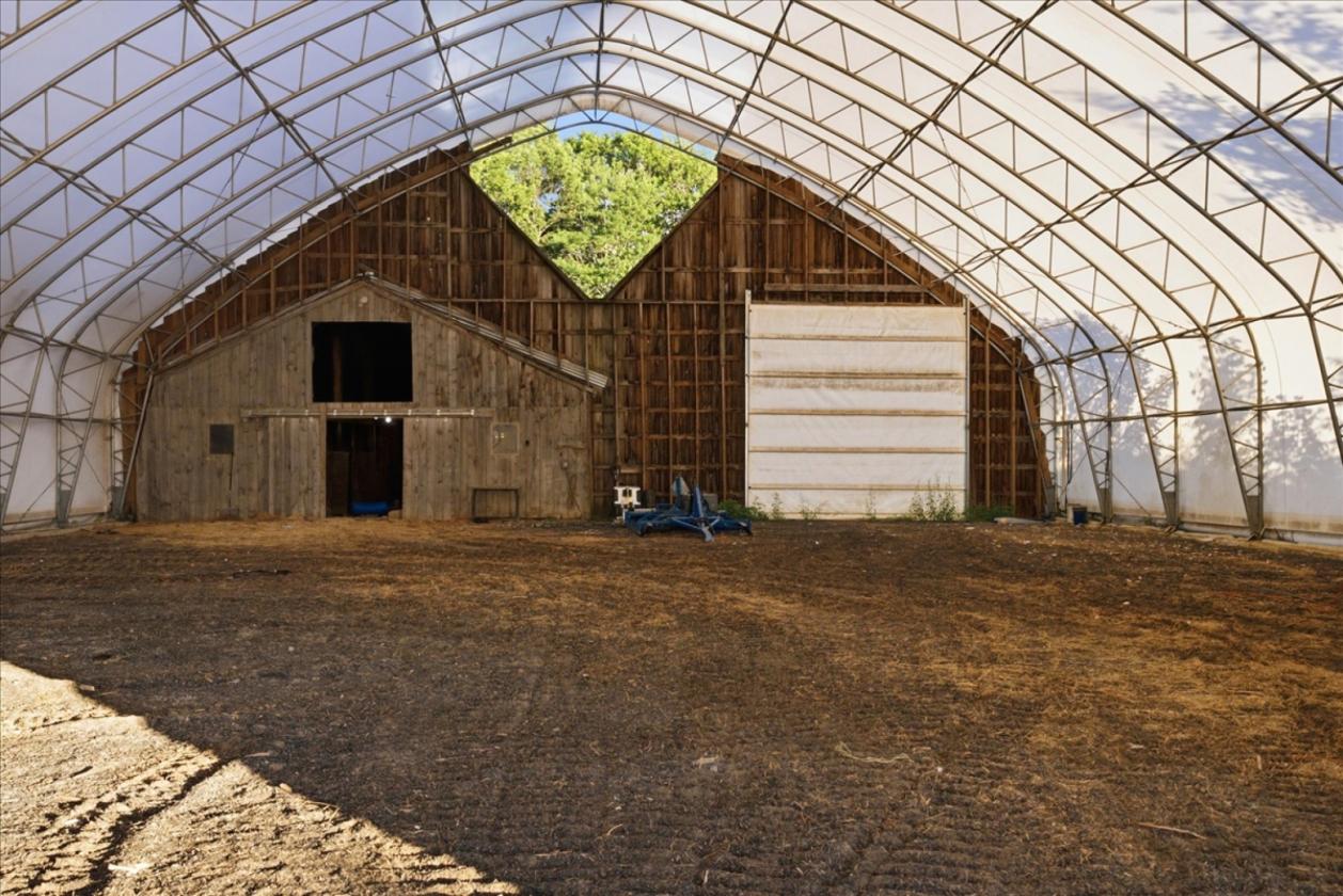 Maine Horse Farm - photo 10