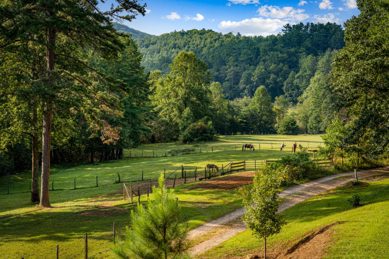 WHAT IF YOUR BACKYARD WAS USFS LAND? - photo 24