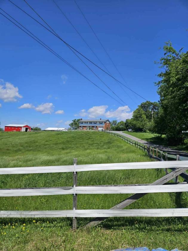 Horse Property for sale.