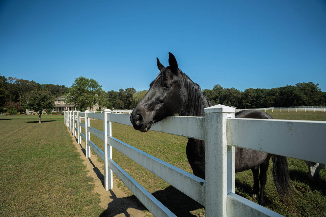 Colonial horse property 13.31 farm assessed acres & 5