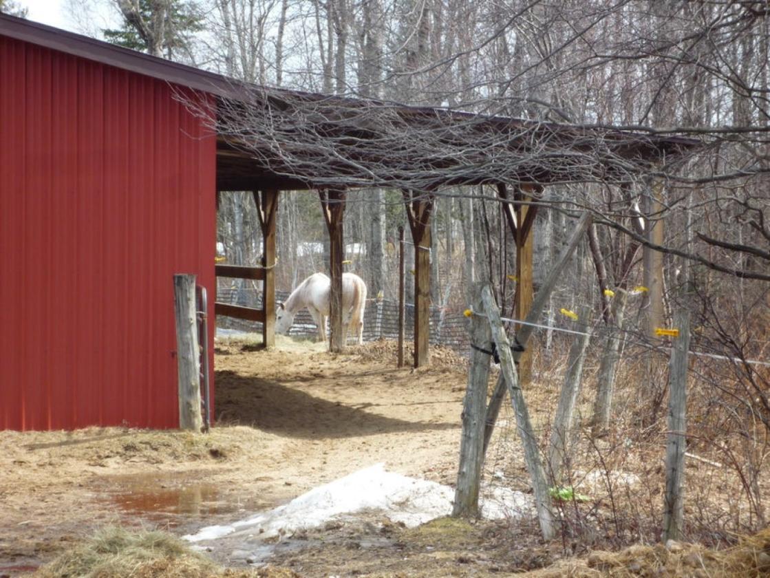55 Ac. Horse Property Including a Private Island - photo 24