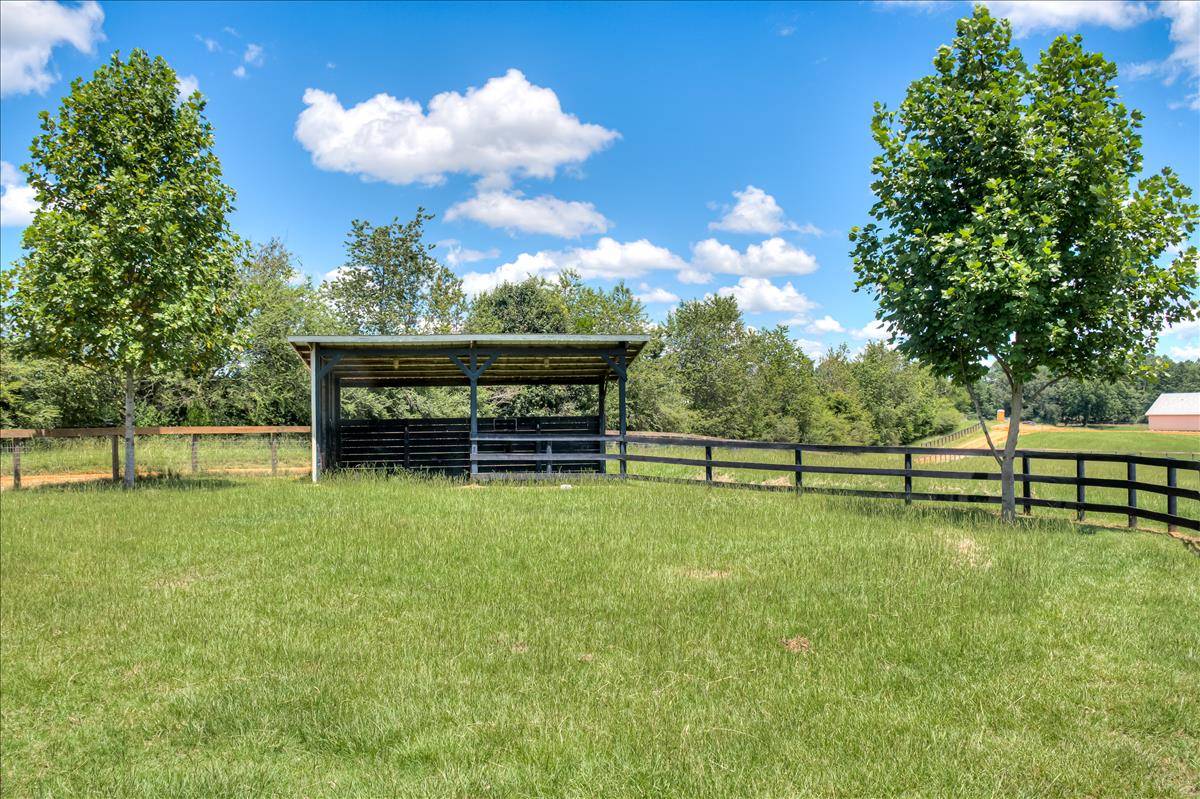 Horse property for riding and carriage driving in beautiful Hopeland