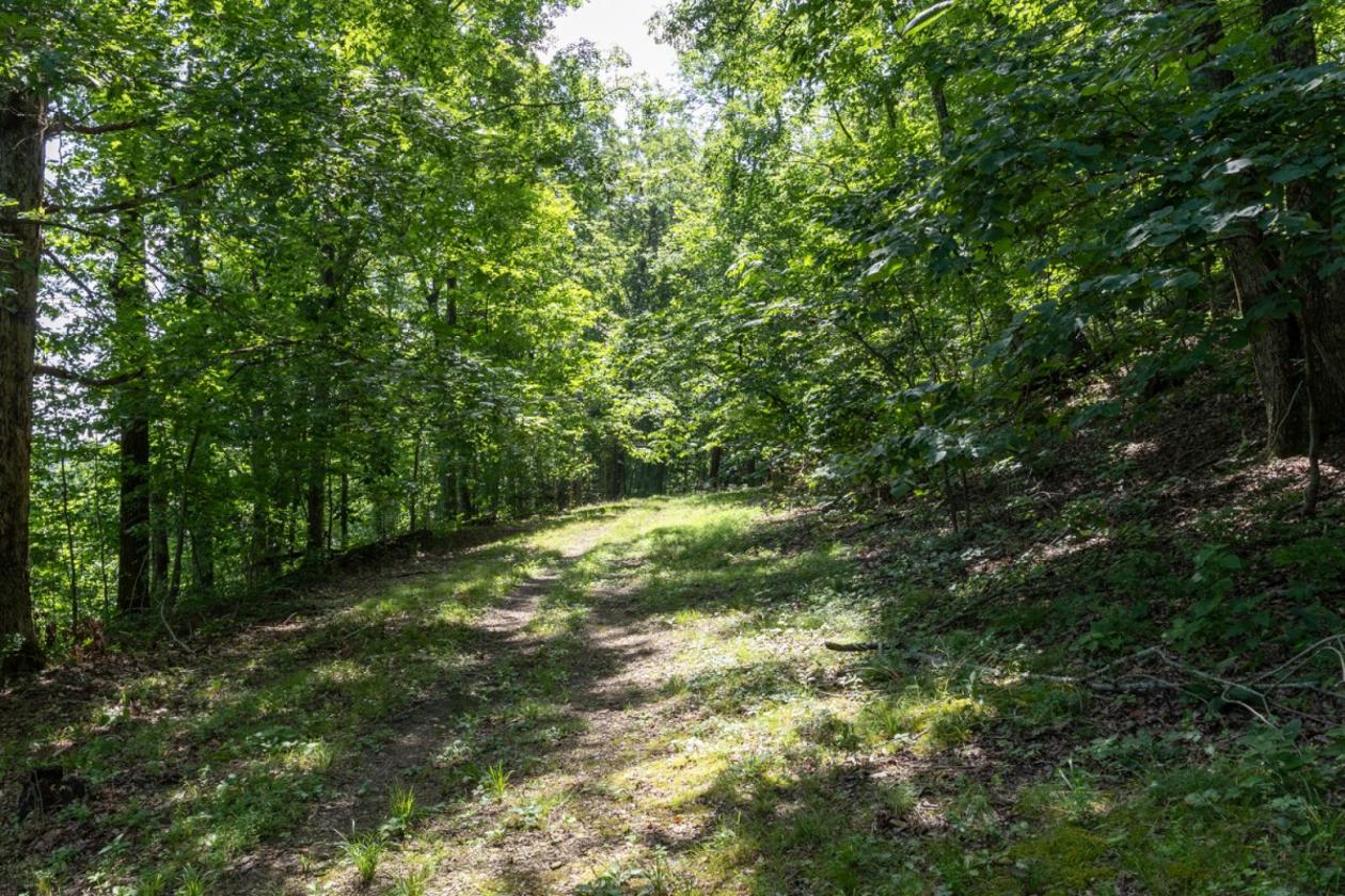 Never Done Farm - 103 Acres - photo 29