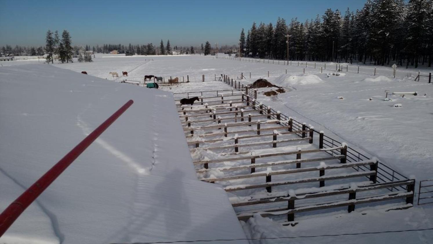 Active Income Producing Equestrian Facility - photo 28