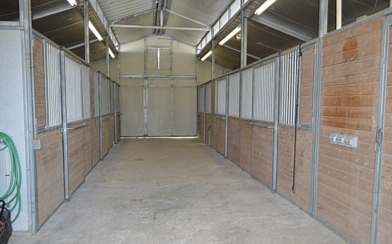 47 Acre Horse Property on Beautiful Setting - photo 12