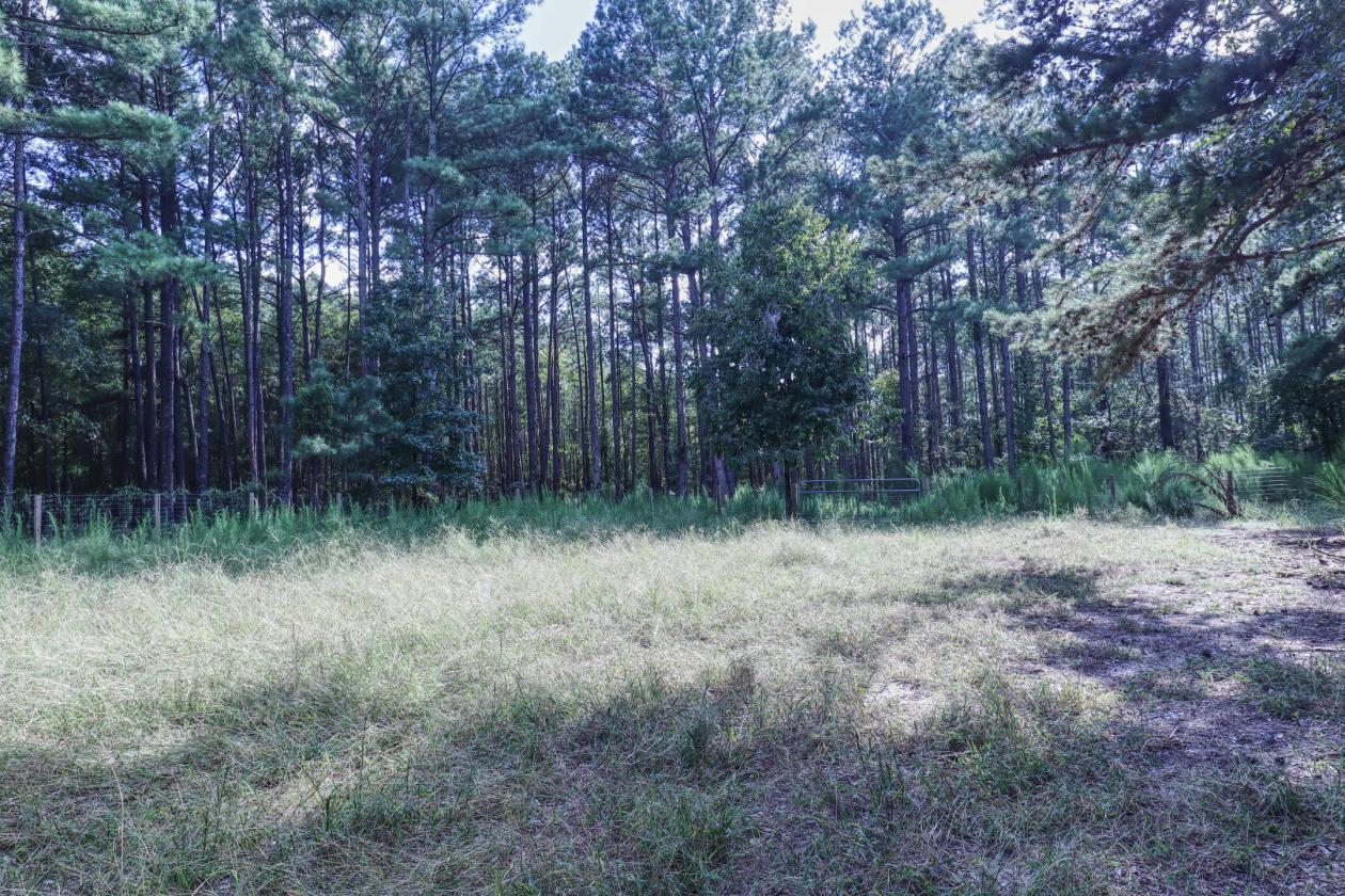 Turnkey Country Retreat on 8 Private Acres - photo 26