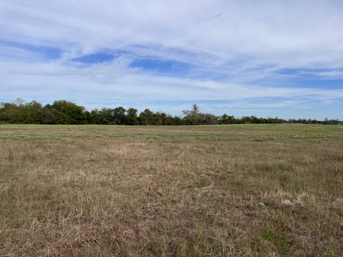 Horse Property for sale.