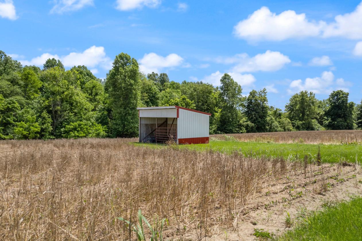 17 Unrestricted Acres w/Bldg. S. Central KY! - photo 8