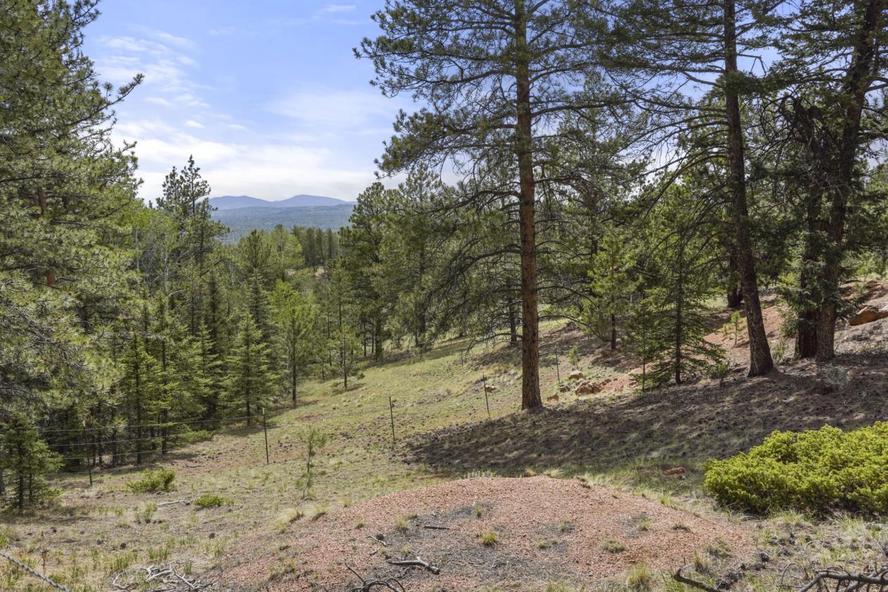40+ acre Ranch, Retreat, and Venue in Colorado - photo 22