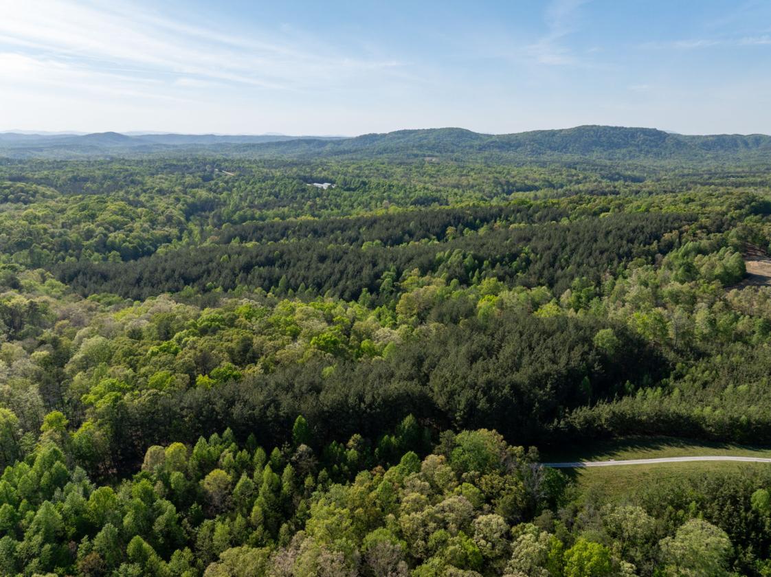169 Acres, pastures, creeks, pond sites and trees - photo 17
