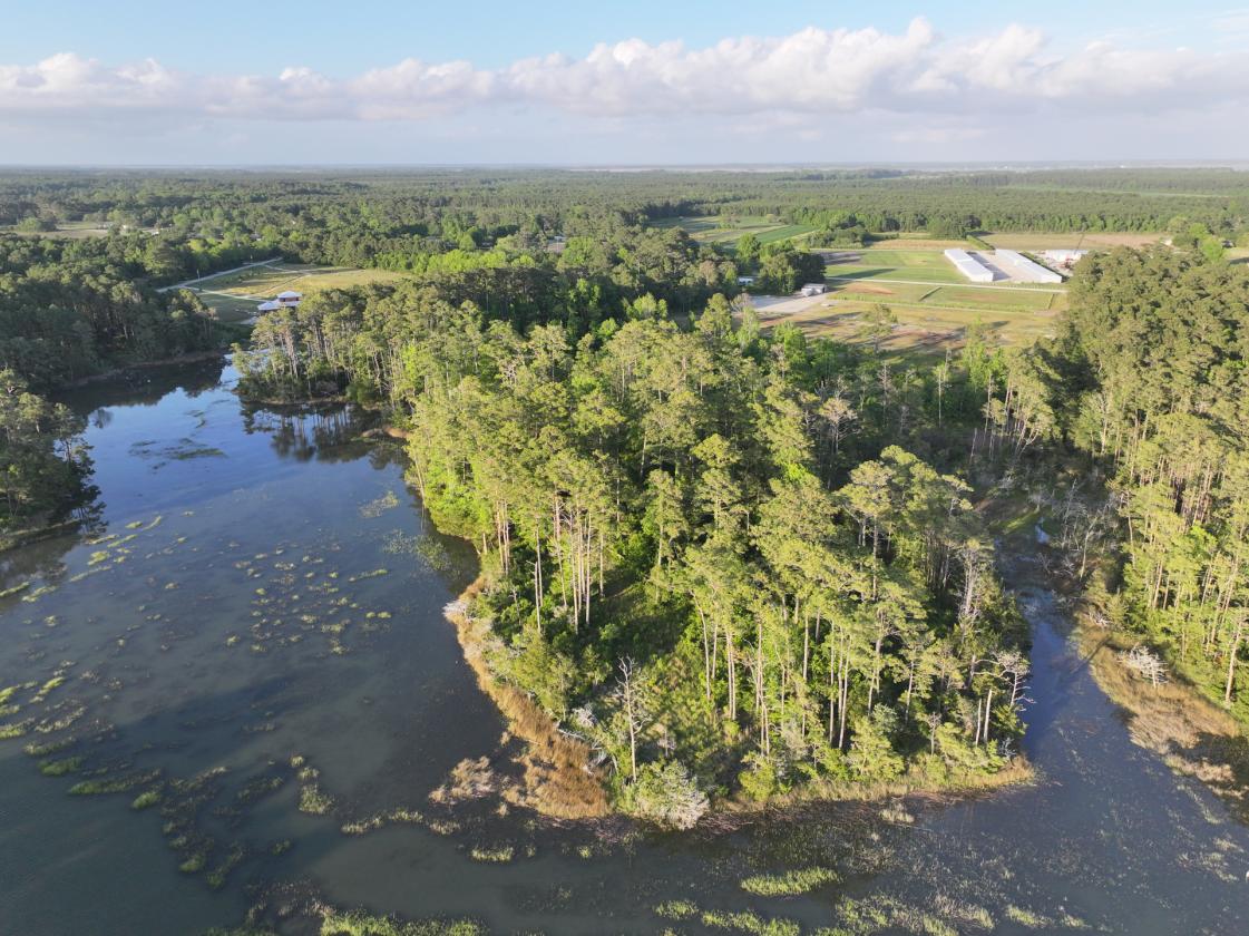 Premier 22± Acre Waterfront Equestrian Estate - photo 11