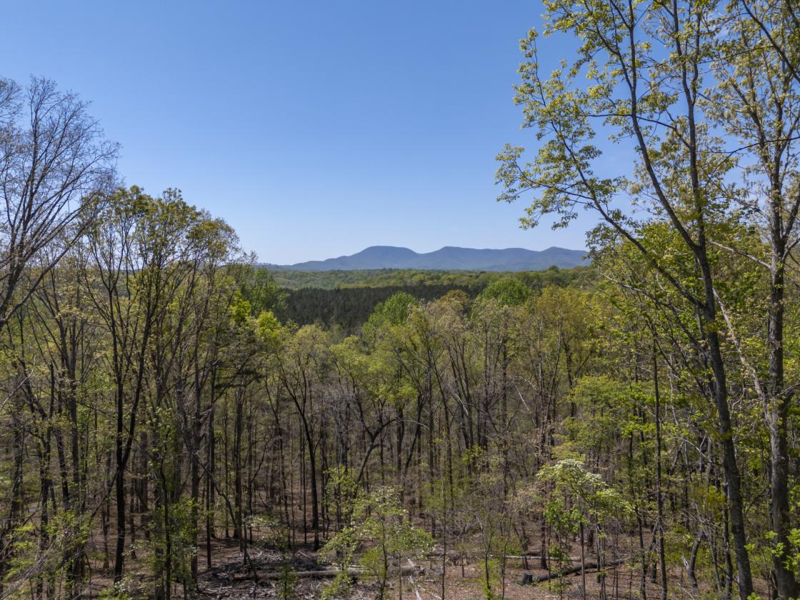 Mountain Views, Privacy, Trails, Updated Home - photo 15