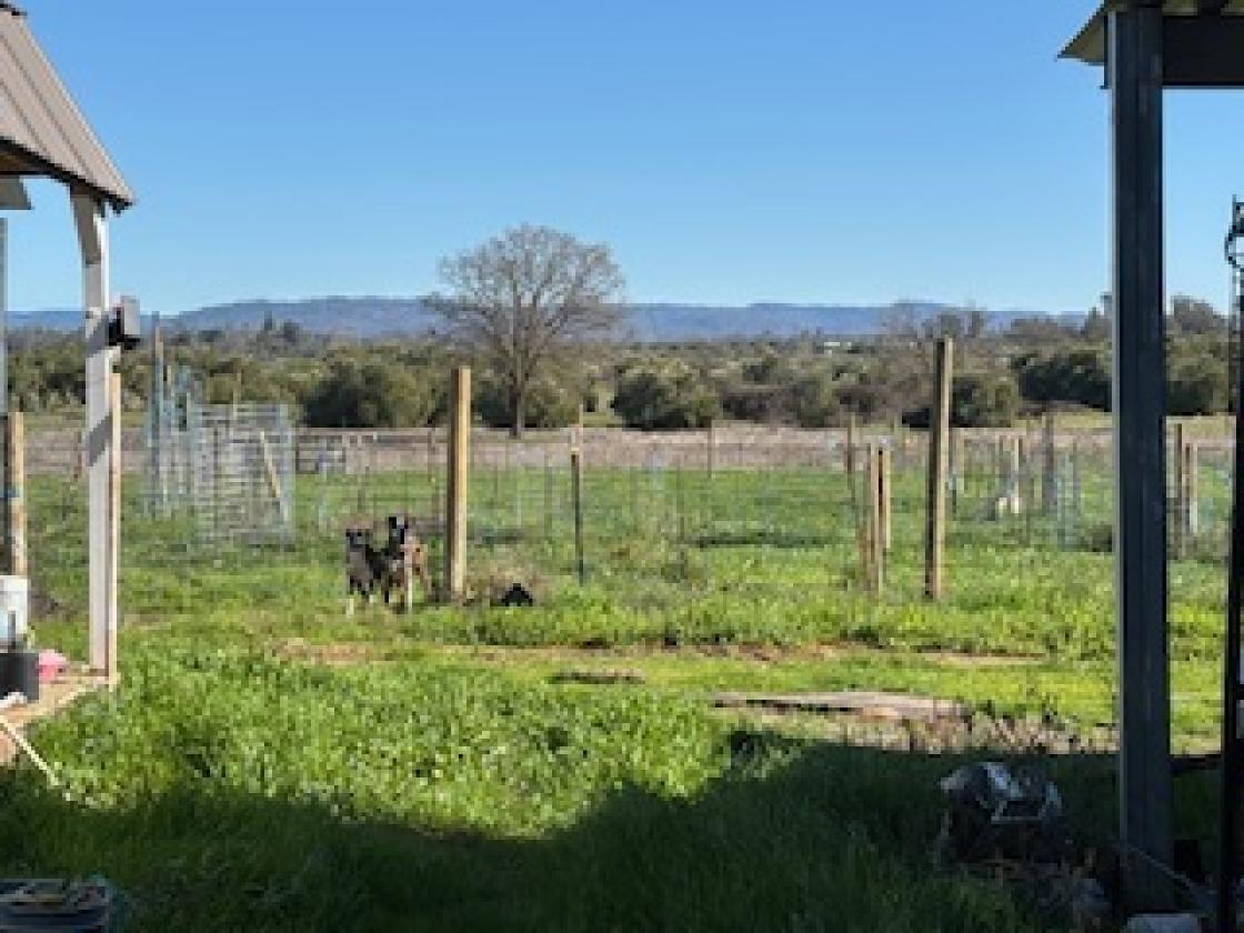 Exceptional Equestrian Breeding &Boarding Facility - photo 18