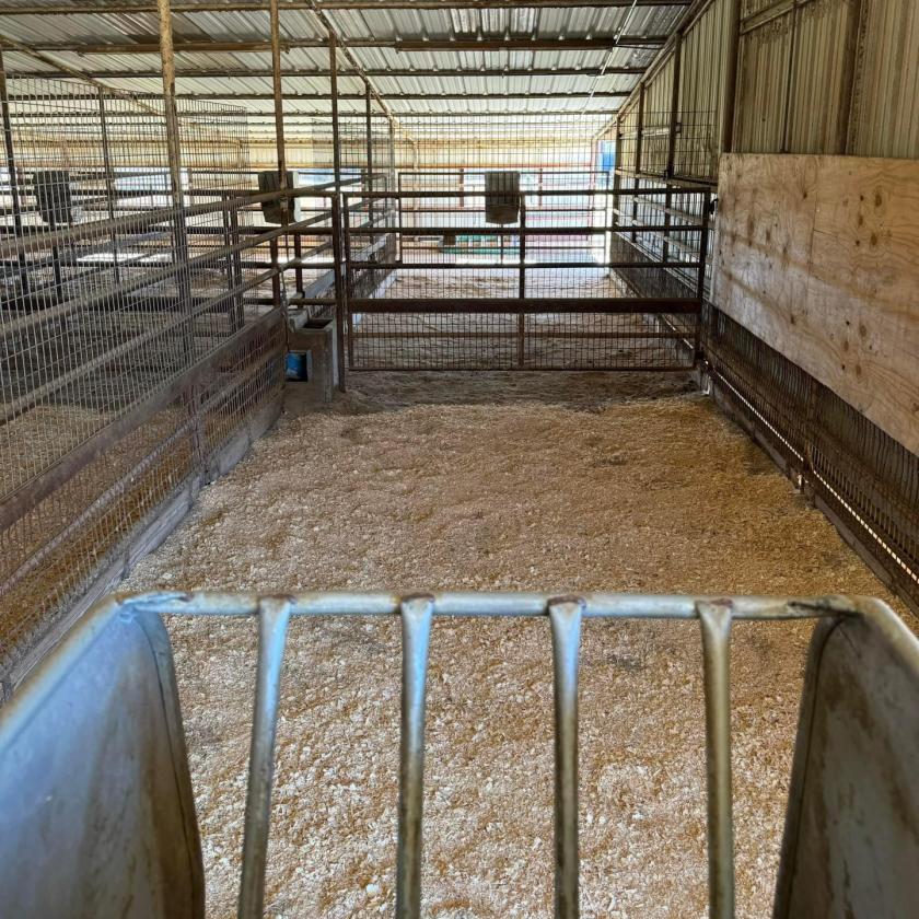 TM Horse Ranch - photo 12