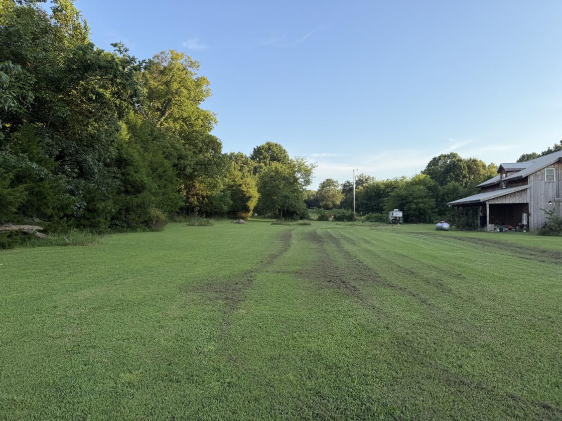 66 Acres S of NASHVILLE Barndo, Pasture & Timber - photo 11