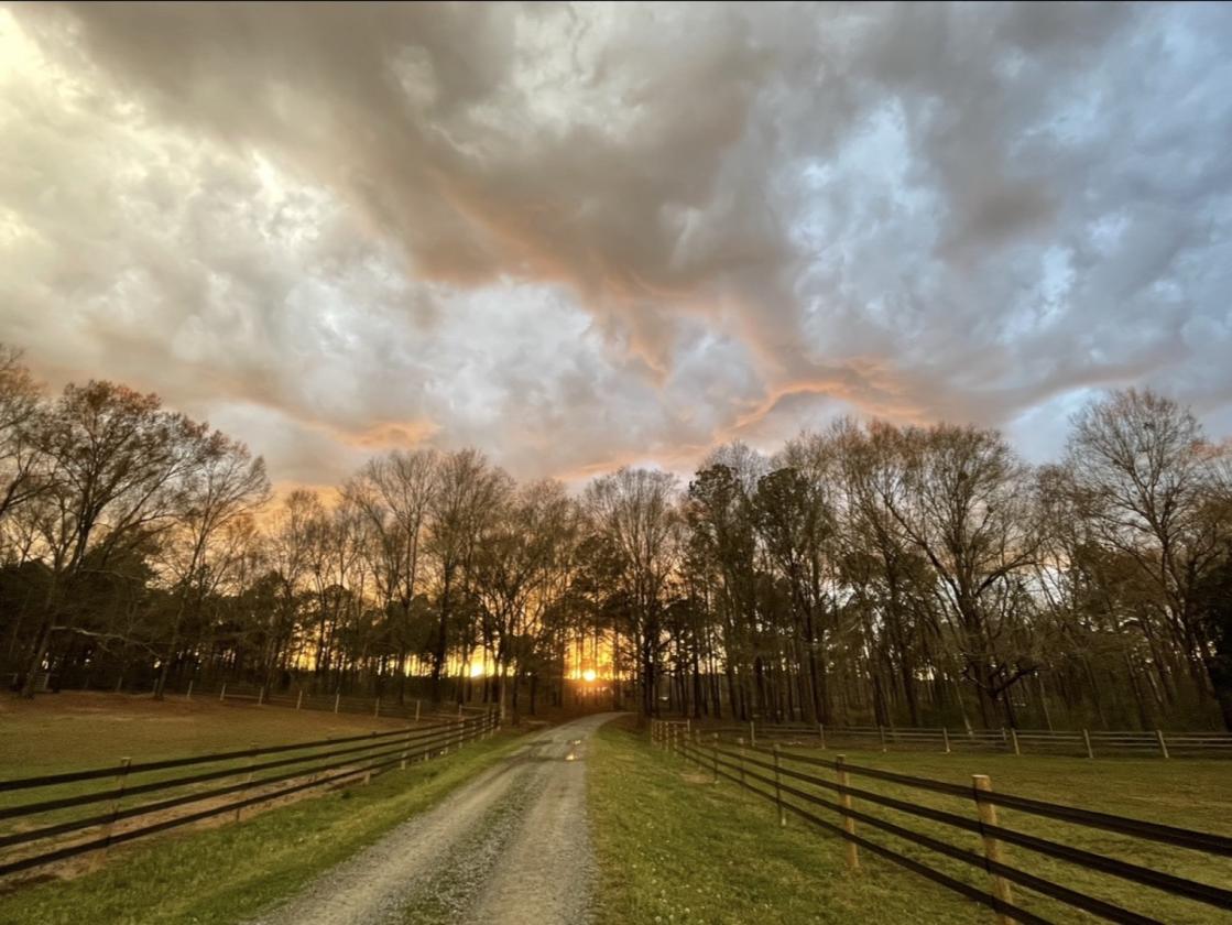Equestrian Farm with 2 homes and stocked pond - photo 7
