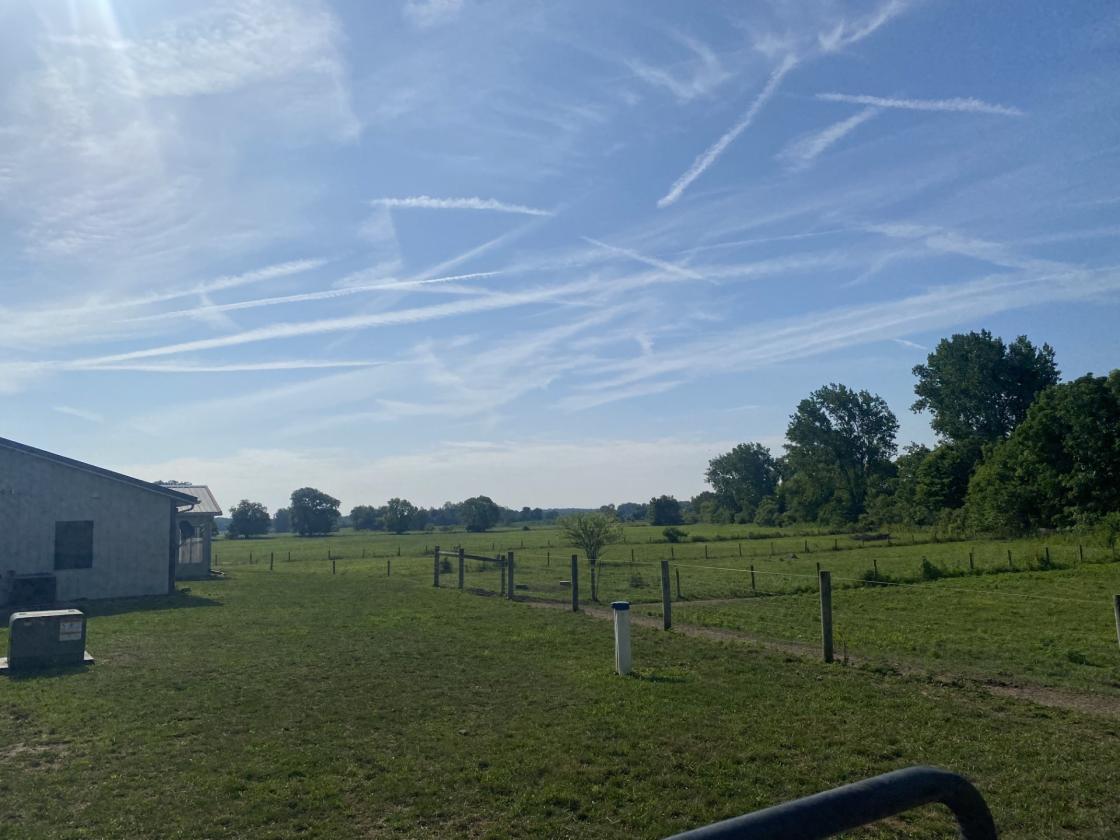 Equestrian Paradise on 29 Scenic Acres! - photo 9