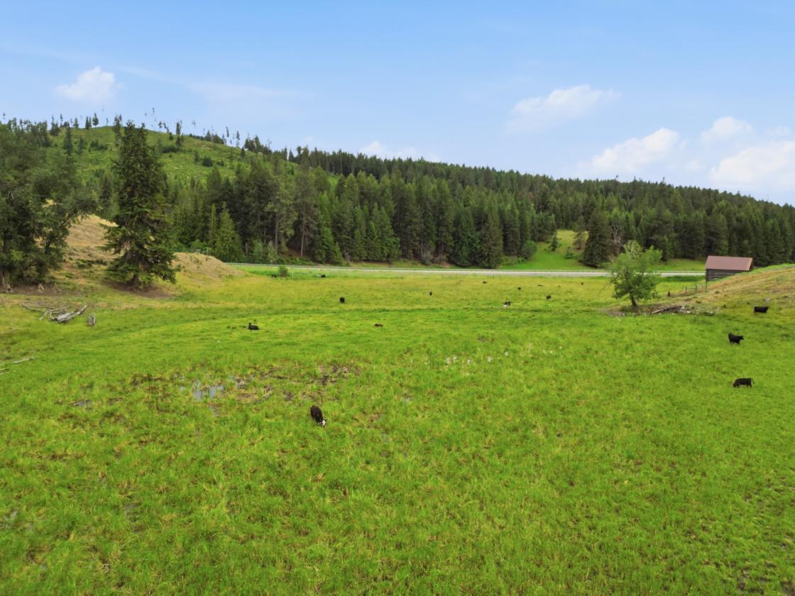 Rare 64.8 Acre Farmstead - photo 25