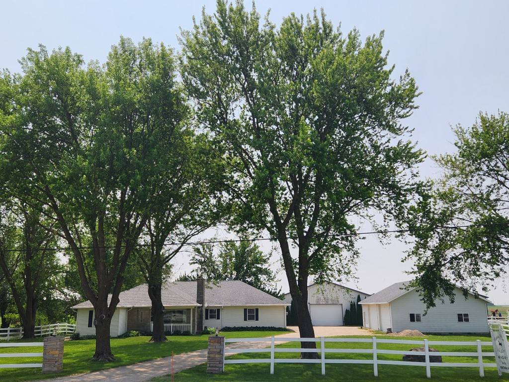 Horse Property for sale.