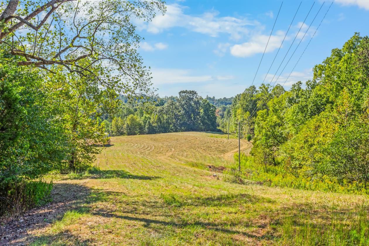 39 Acre Equestrian Estate - Stokes County - photo 15