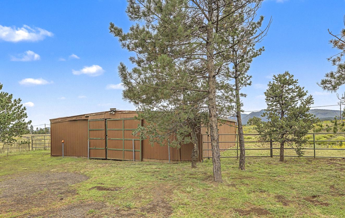 Horse Property on Nearly 4 Acres - photo 5