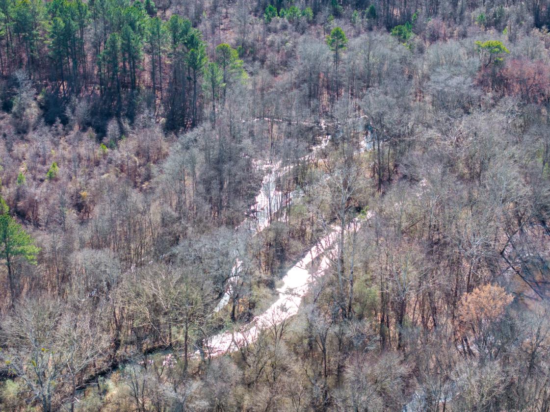 211 Acres- Luxury Estate & Equestrian Development - photo 10