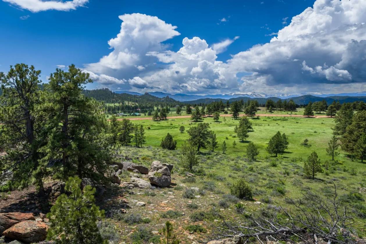 Lots in luxury, gated, mountain community - photo 16