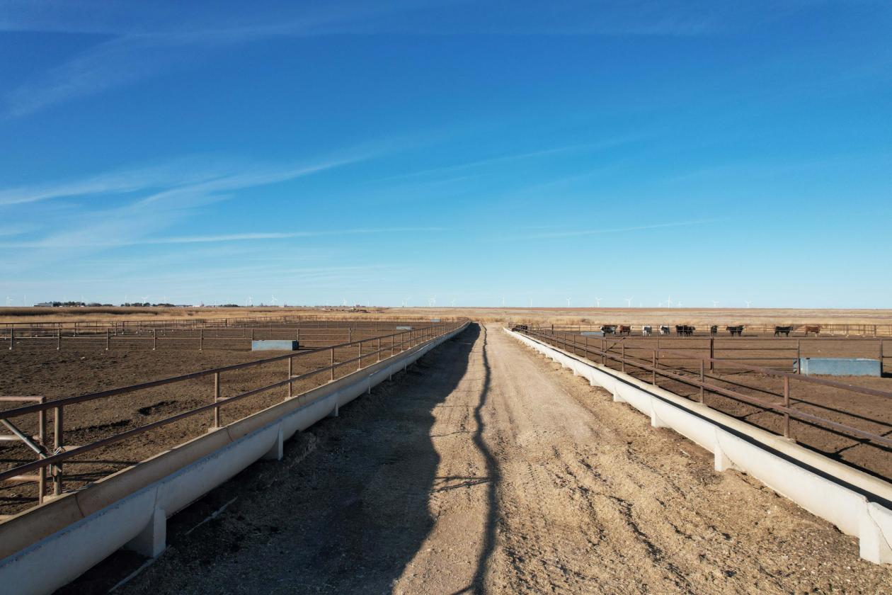 Feedyard & Equine Facility with Modern Homes - photo 6