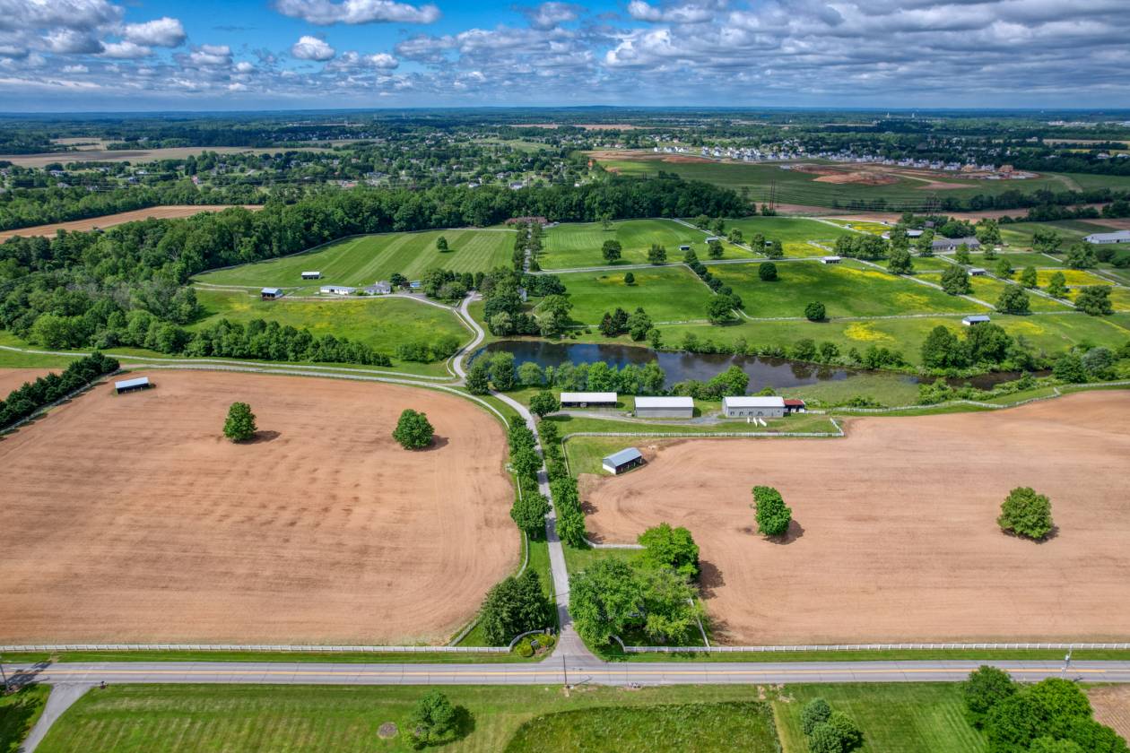 CandyLand Farm: Where Dreams Gallop Free! - photo 10