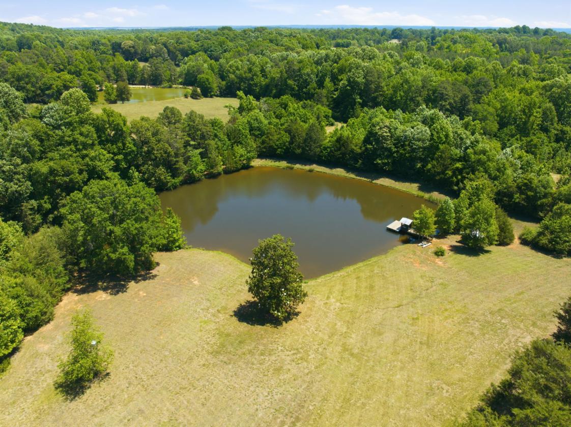 40+ acre Farm in Randolph County - photo 18