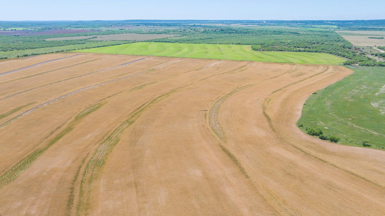 535-Acre West Texas Ranch Near Abilene Texas - photo 25