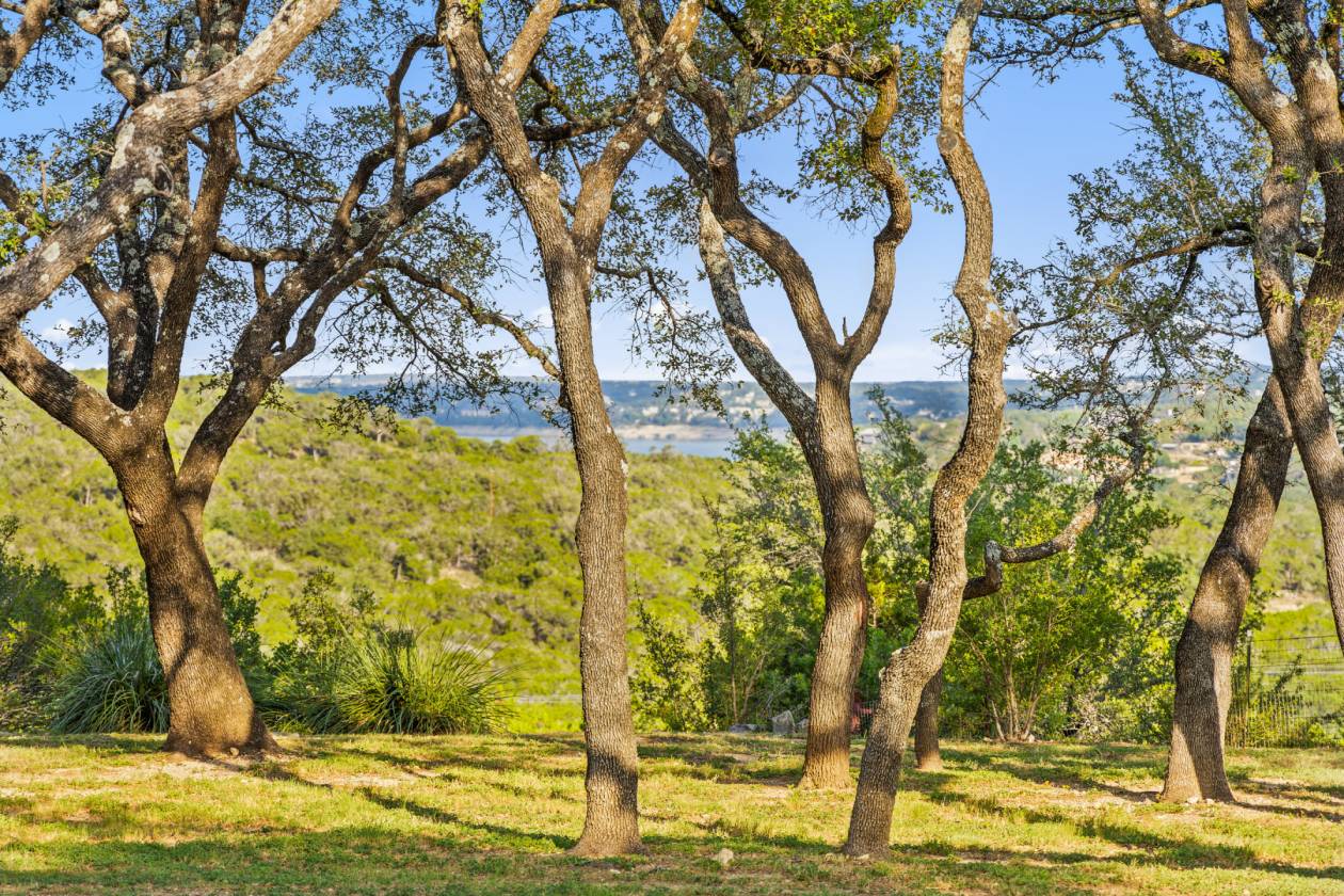 Luxury Texas Hill Country Equestrian Estate - photo 30