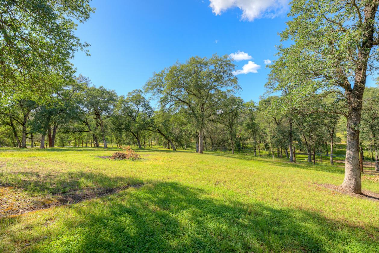 Oh, the POSSIBILITIES!! 5.31 Acres! - photo 3