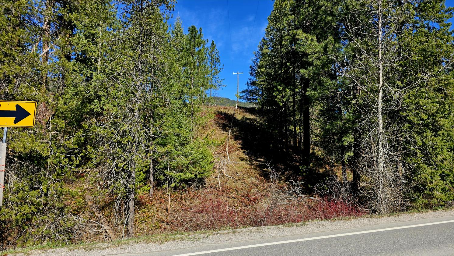 Gorgeous 63 Acres - photo 11