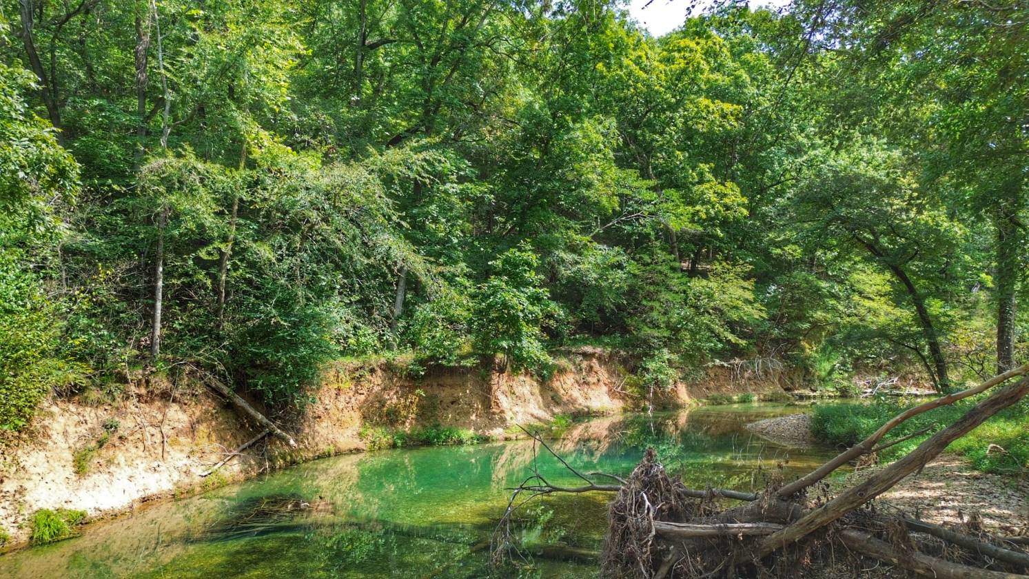 Legacy Northwest Arkansas Acreage - photo 11