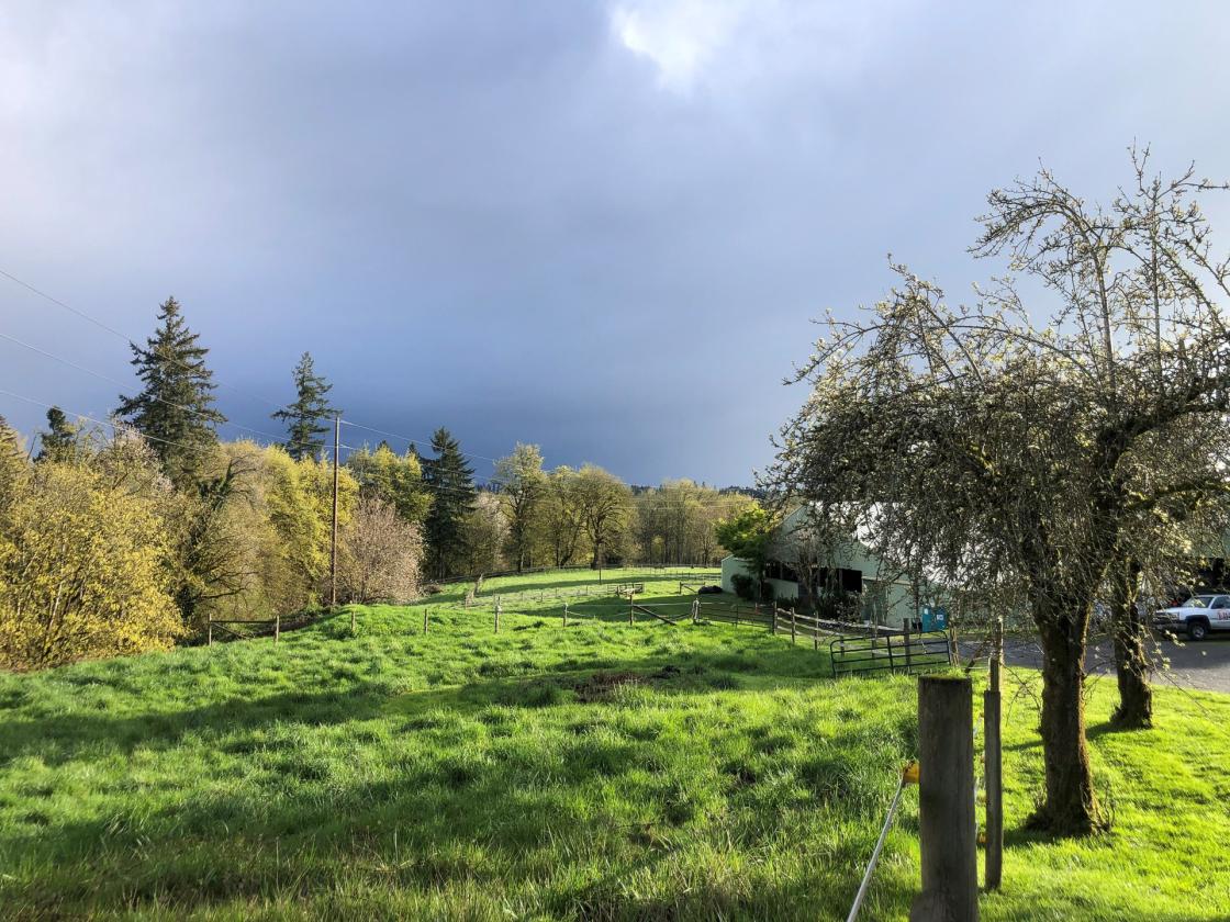Amazing Farmhouse/Equestrian Property - photo 18