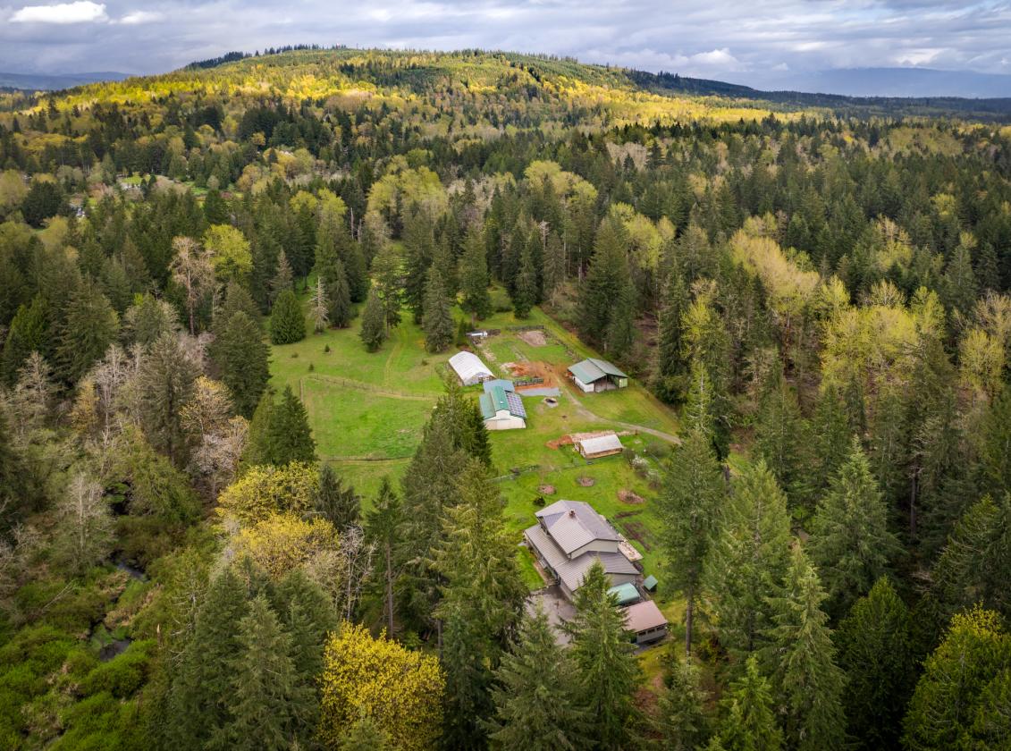 10.5 ACRES | PASTURE | PRIVACY - photo 1