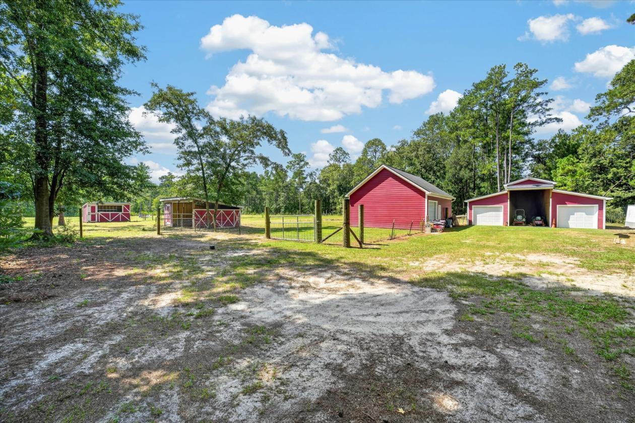 Welcome to Sunshine Ranch, a horse haven - photo 22