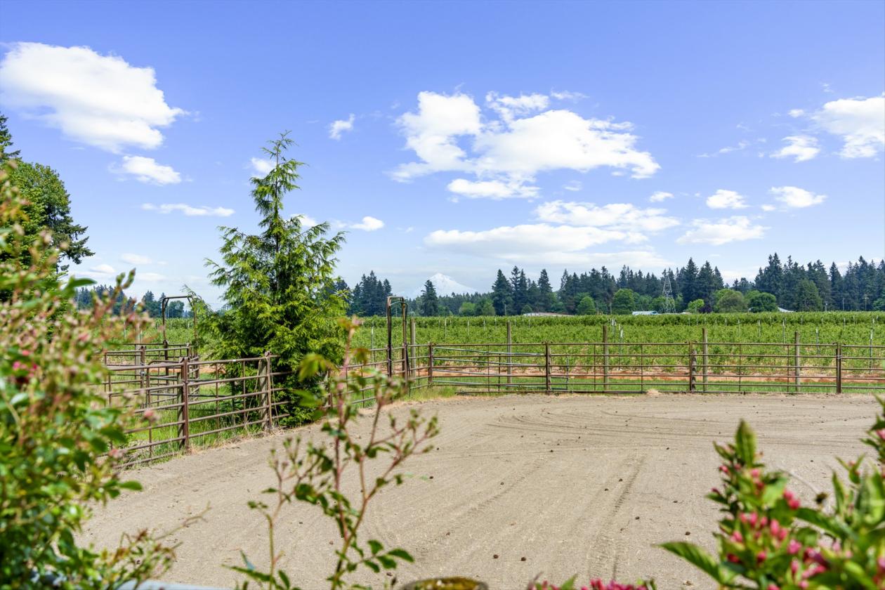 Charming horse property on private lane - photo 26