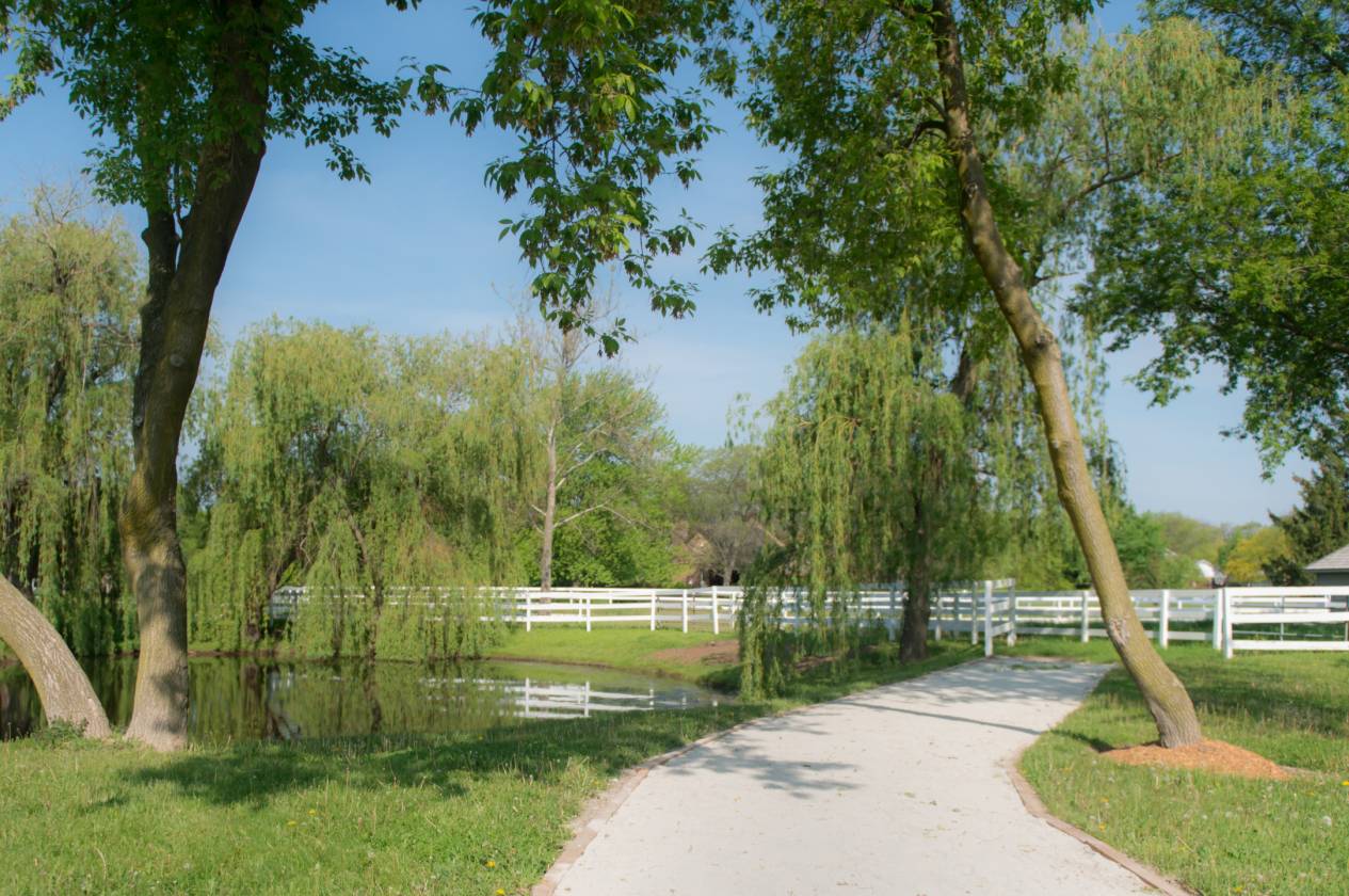 Exceptional 15-Acre Equestrian Facility! - photo 29