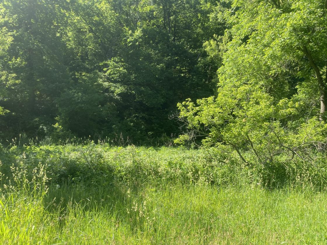 Deep River Farm - photo 15