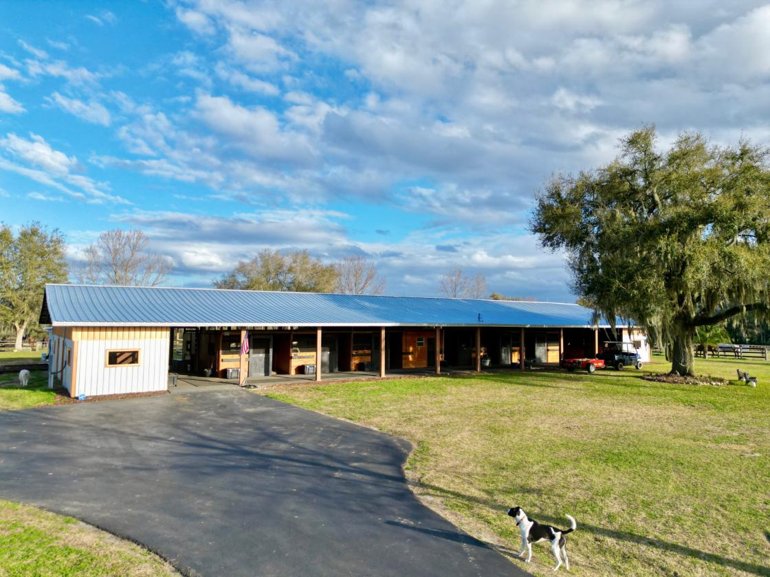A picture-perfect equestrian estate - photo 5